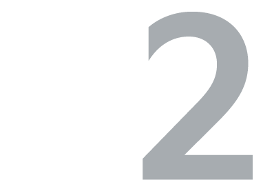2, Icon
